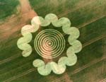 ht_crop_circle2_060830_ssh